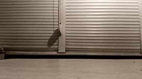 Snapshot of pamid215 chatting on 25, 2, 2026 angel hris online show from 25, 2, 2026