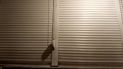 Snapshot of pamid215 chatting on 5, 3, 2026 angel hris online show from 5, 3, 2026