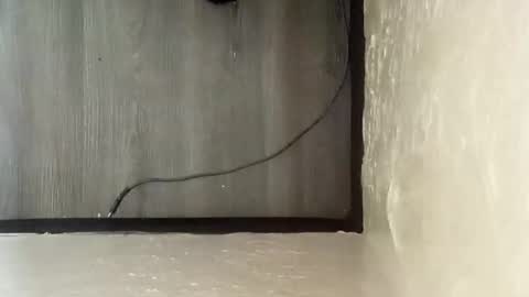 pantieplaytime52532 online show from 25, 12, 2024