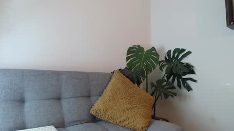 pantyhose_xxx_ online show from 29, 12, 2024