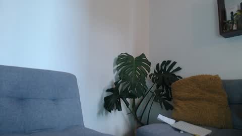 pantyhose_xxx_ online show from 20, 1, 2025