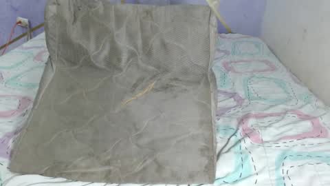 Paola Stone online show from 15, 4, 2026