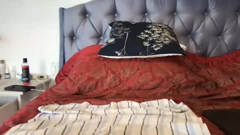 Paradise Bird01 online show from 17, 1, 2025