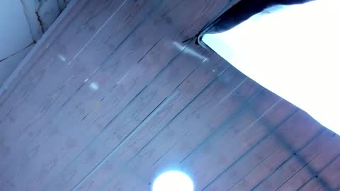 paris petit online show from 13, 2, 2026