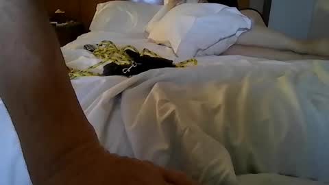 partyplaynfuc online show from 13, 3, 2026