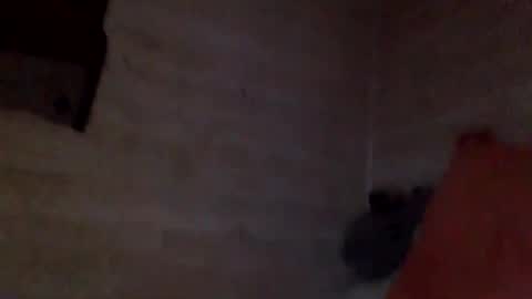 Pati24 online show from 26, 2, 2026