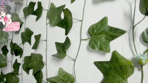 Snapshot of pau_delima__ chatting on 23, 12, 2024 paulina online show from 23, 12, 2024