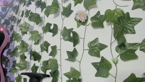 Snapshot of pau_delima__ chatting on 8, 1, 2025 paulina online show from 8, 1, 2025