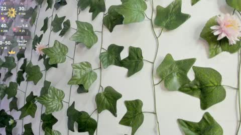 Snapshot of pau_delima__ chatting on 9, 1, 2025 paulina online show from 9, 1, 2025