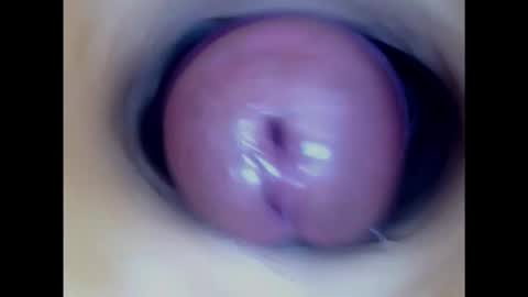 Paula 18 Aninhos online show from 31, 1, 2025