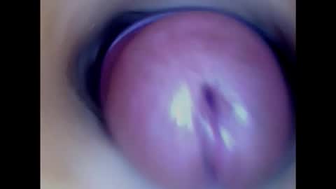 Paula 18 Aninhos online show from 1, 2, 2025