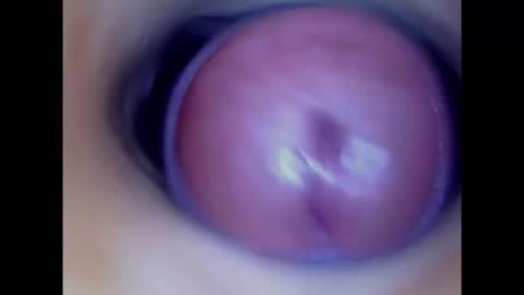 Paula 18 Aninhos online show from 24, 2, 2025