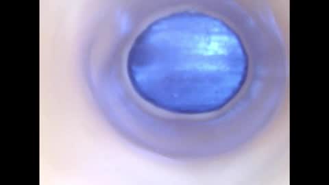 Paula 18 Aninhos online show from 2, 12, 2025