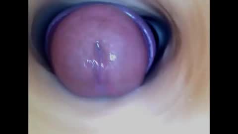 Paula 18 Aninhos online show from 7, 1, 2026