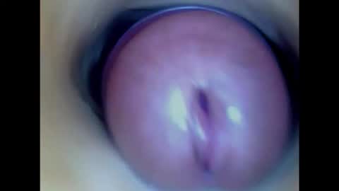 Paula 18 Aninhos online show from 3, 2, 2026