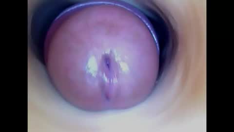 Paula 18 Aninhos online show from 15, 2, 2026