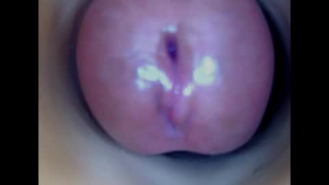 Paula 18 Aninhos online show from 19, 4, 2026