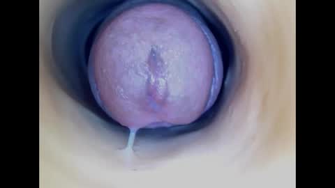 Paula 18 Aninhos online show from 26, 4, 2026