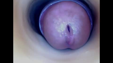 Paula 18 Aninhos online show from 26, 7, 2026