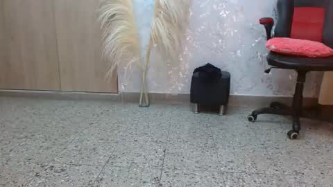 Snapshot of paulina_rubio_ chatting on 7, 12, 2024 Paulina Rubio online show from 7, 12, 2024