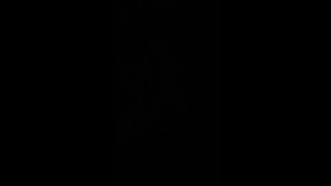 paulobascet online show from 2, 12, 2024