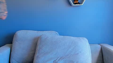 Paul Phoenix online show from 30, 1, 2025