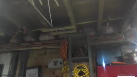 paulstetson online show from 20, 12, 2024