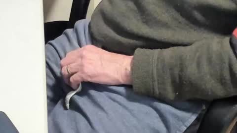 Paul online show from 10, 2, 2025