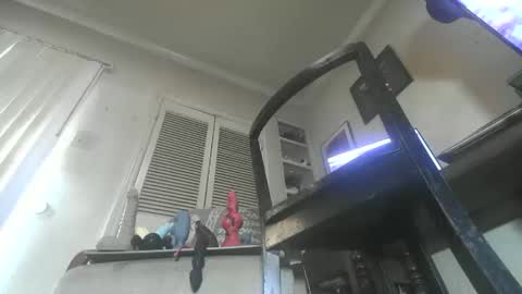 Snapshot of paulvert chatting on 27, 11, 2025 Paulvert online show from 27, 11, 2025