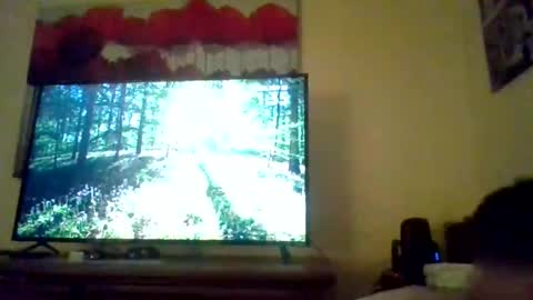 pavi962731455 online show from 25, 5, 2026