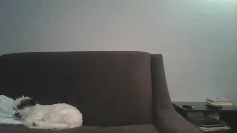 paybarbi online show from 16, 1, 2026