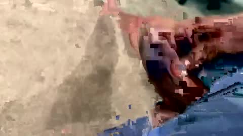 peakingondaddy online show from 15, 10, 2025