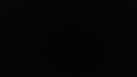 Snapshot of peavsters chatting on 24, 9, 2025 Alex online show from 24, 9, 2025