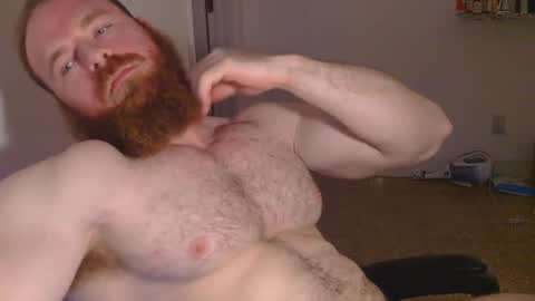 Pec inspector online show from 30, 1, 2025