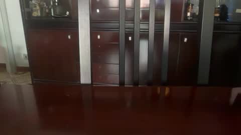 Pedrigno 79 online show from 24, 4, 2026