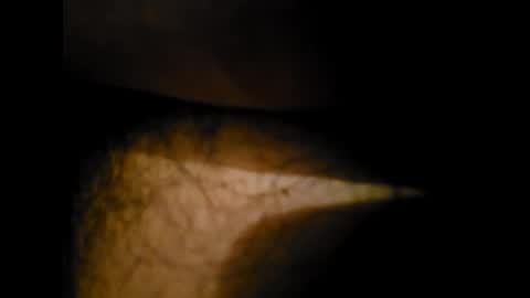 Alex online show from 24, 1, 2025