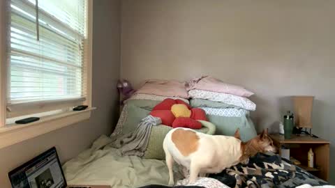 Snapshot of pegggggysue69 chatting on 20, 3, 2026 pegggggysue69 online show from 20, 3, 2026