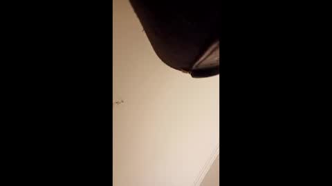 Snapshot of pelekenone chatting on 1, 4, 2026 pelekenone online show from 1, 4, 2026