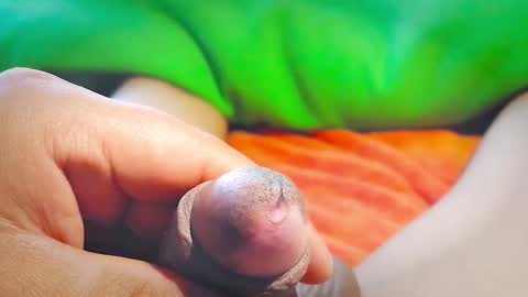 Penils online show from 23, 9, 2025