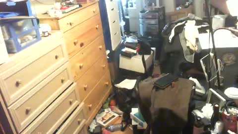 monkeydog online show from 3, 7, 2026