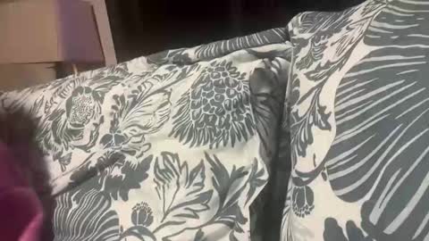 penutbutter691 online show from 19, 11, 2025