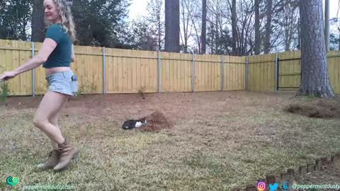 Peppermint and Dusty  online show from 3, 3, 2026