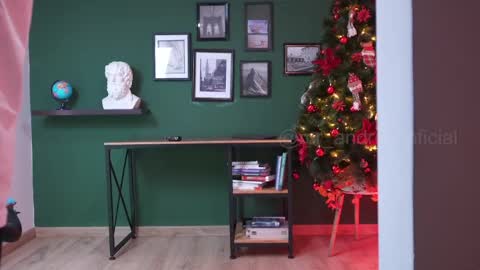 andres    online show from 28, 12, 2024