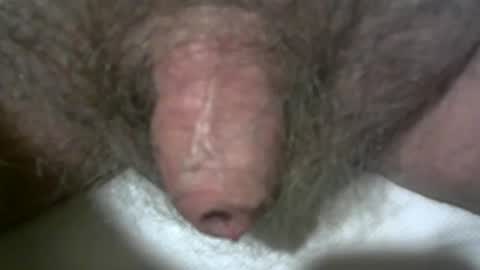 Snapshot of peterpeteropoulos chatting on 7, 2, 2025 peterpeteropoulos online show from 7, 2, 2025