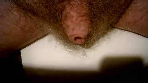 Snapshot of peterpeteropoulos chatting on 14, 2, 2025 peterpeteropoulos online show from 14, 2, 2025