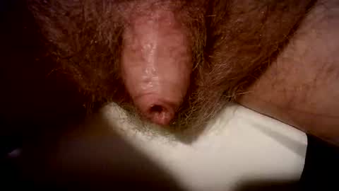 Snapshot of peterpeteropoulos chatting on 20, 2, 2025 peterpeteropoulos online show from 20, 2, 2025