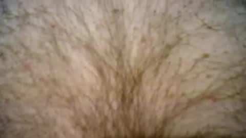 Snapshot of peterpeteropoulos chatting on 27, 2, 2025 peterpeteropoulos online show from 27, 2, 2025