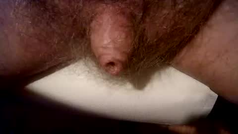 Snapshot of peterpeteropoulos chatting on 3, 3, 2025 peterpeteropoulos online show from 3, 3, 2025