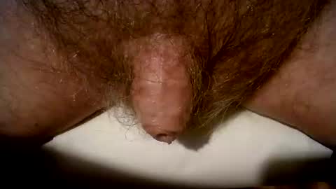 Snapshot of peterpeteropoulos chatting on 8, 3, 2025 peterpeteropoulos online show from 8, 3, 2025