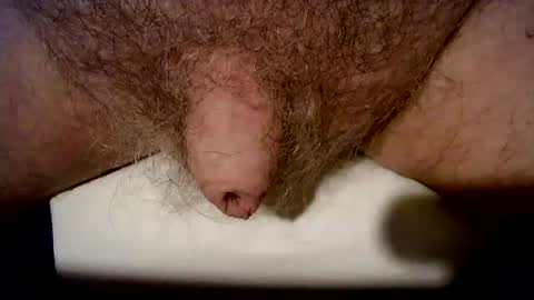 Snapshot of peterpeteropoulos chatting on 21, 10, 2025 peterpeteropoulos online show from 21, 10, 2025